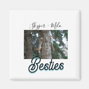 Pet friends besties add name pet photo animal love magnet
