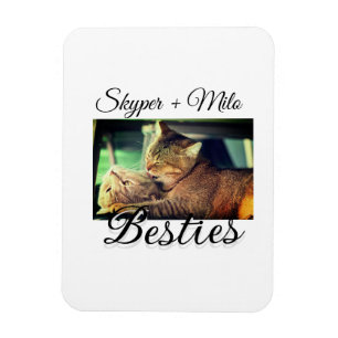 Pet friends besties add name pet photo animal love magnet