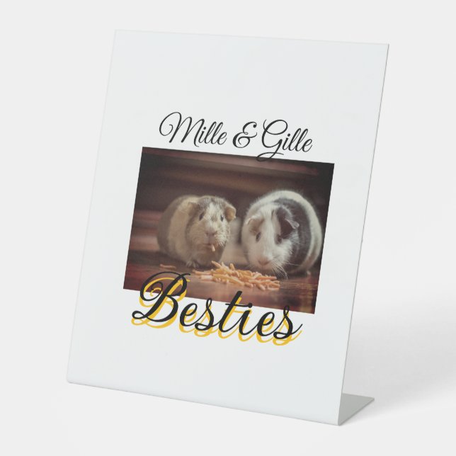 Pet friends besties add name pet photo animal love pedestal sign (Front)