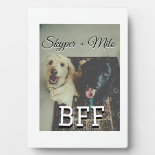 Pet friends besties add name pet photo animal love plaque