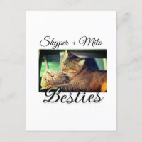 Pet friends besties add name pet photo animal love