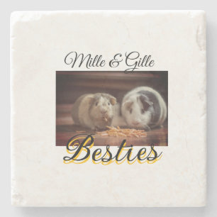 Pet friends besties add name pet photo animal love stone coaster