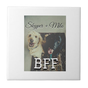 Pet friends besties add name pet photo animal love tile
