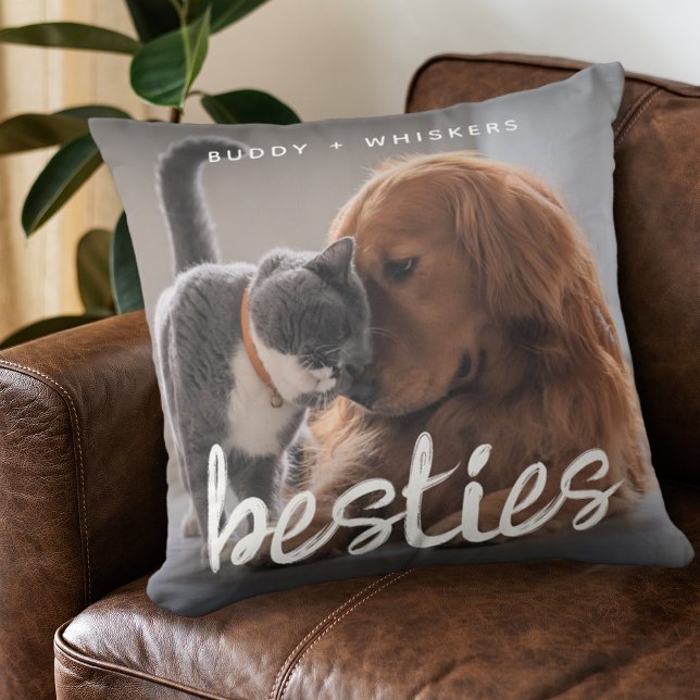 Pet Friends Dog & Cat Photo Gift Cushion (Creator Uploaded)