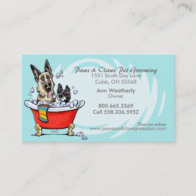 Pet Groomer Spa Wet Dogs Carribean Appointment (Front)