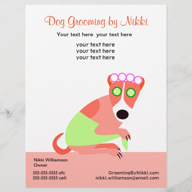 Pet Groomer's Promotional Flyer (Front)