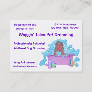 Pet Grooming Business And Appointment Card