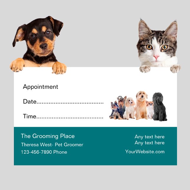 Pet Grooming Salon Appointment Reminder (Creator Uploaded)