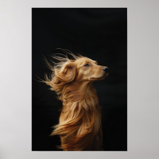 Pet Grooming Salon Boutique Afgan Hound Portrait Poster