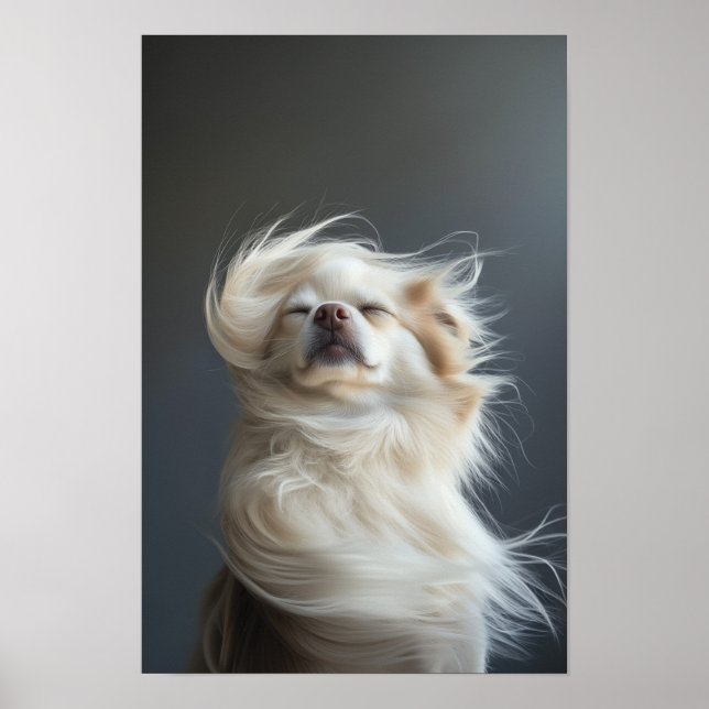 Pet Grooming Salon Boutique Chihuahua Portrait Poster (Front)