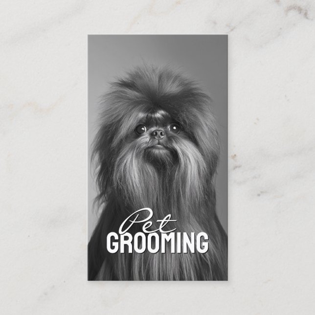 Pet Grooming Salon Care Affenpinscher Portrait Business Card (Front)