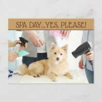 Pet Grooming Spa Day Postcard