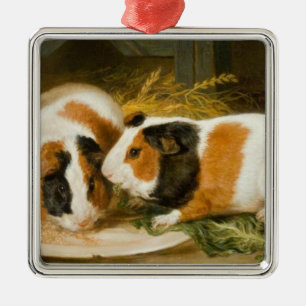 Pet Guinea Pigs Feeding (by James Ward) Metal Tree Decoration