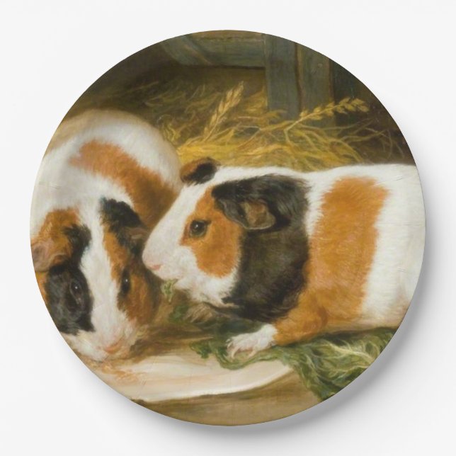 Pet Guinea Pigs Feeding (by James Ward) Paper Plate (Front)