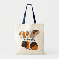 Pet Guinea Pigs Illustrations Personalised