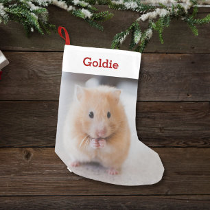 Pet Hamster Lover Photo & Name Personalised Small Christmas Stocking