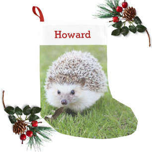 Pet Hedgehog Lover Owner Photo & Name Personalised Small Christmas Stocking