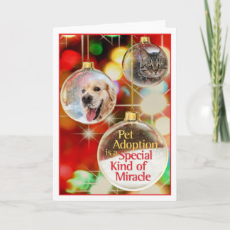 Pet Holiday Card with Ornaments