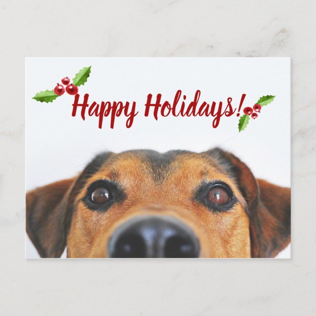Pet Holiday Photo Postcard (Front)