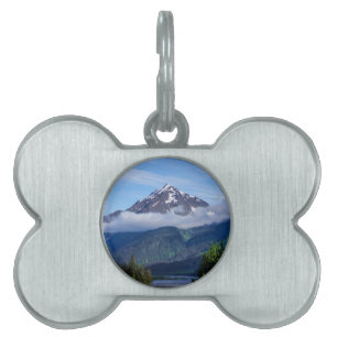* PET ID TAG