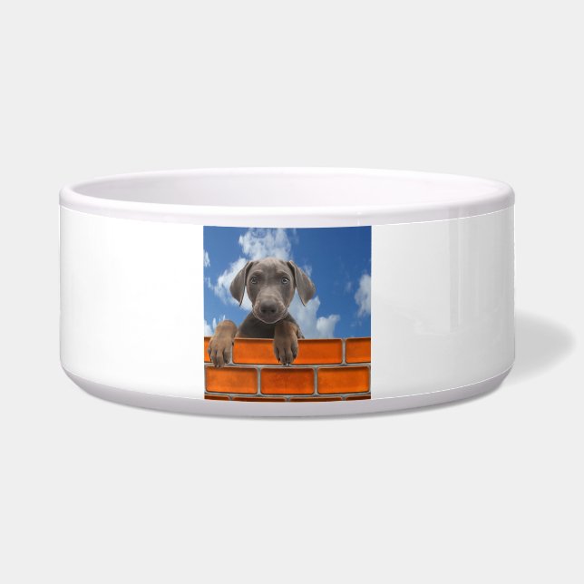 Pet image for Large-Pet-Bowl (Front)