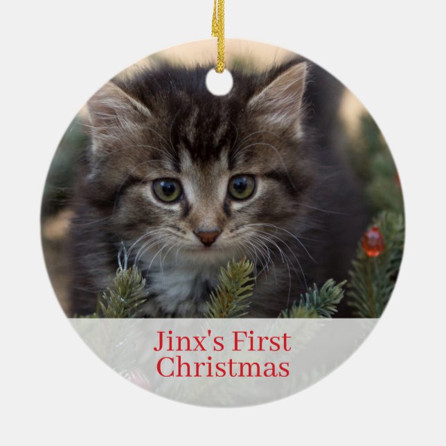 Pet Kittens First Christmas Photo Ornament (Back)