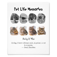 Pet Life Memories 8 Photo Collage Tribute Template