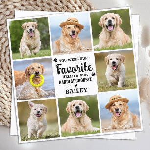 Pet Loss Custom 8 Photo Dog Memorial Sympathy  Thank You Card