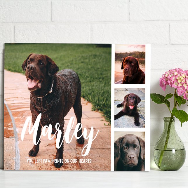 Pet Loss Customised Photo Collage Plaque (Creator Uploaded)