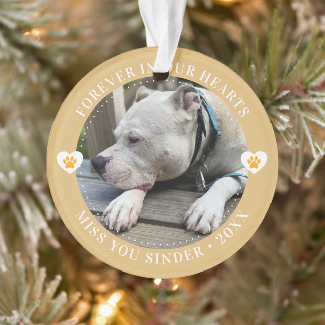 Pet Loss Memorial Keepsake Photo Modern Ornament (Tree)