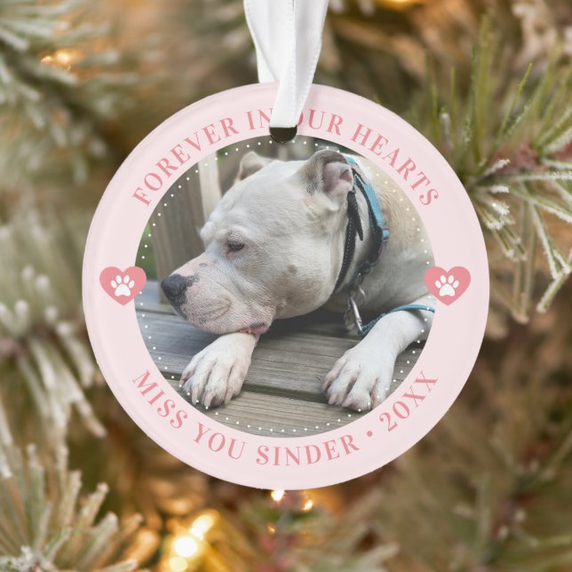 Pet Loss Memorial Keepsake Photo Modern Ornament (Tree)