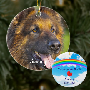 Pet Loss Rainbow Bridge Pet Dog Memorial Photo Ceramic Tree Decoration