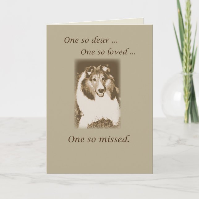 Pet Loss, Sheltie Dog Sympathy, Shetland Sheepdog Card (Front)