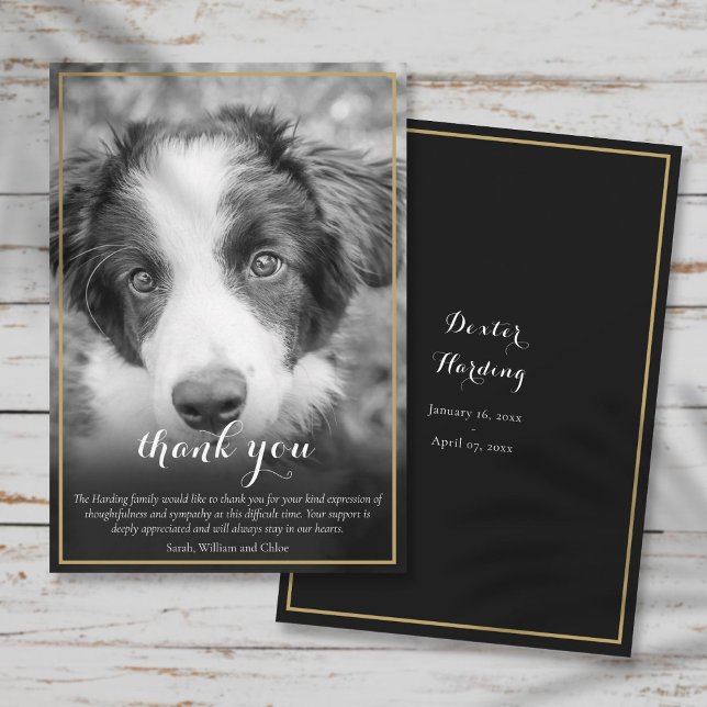 Pet Loss Sympathy Black and White Photo Thank You Card (Pet Loss Sympathy Black and White Photo Thank You Card)