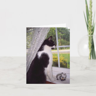 Pet Loss Sympathy Card for Cat