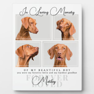 Pet Loss Sympathy Keepsake 4 Photo Collage White Plaque