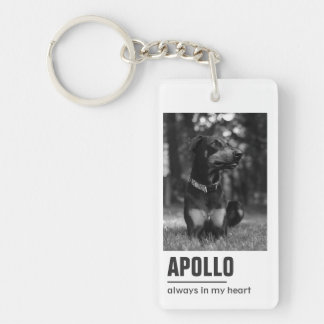 Pet Loss Sympathy Memorial Keepsake Symbol Key Ring