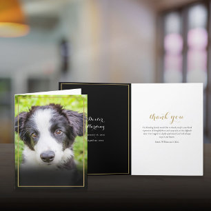 Pet Loss Sympathy Photo Gold Frame Thank You Card