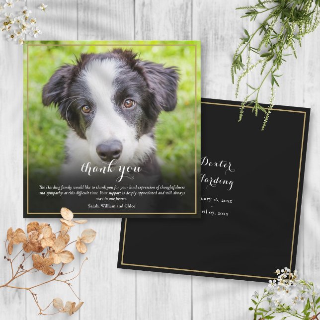 Pet Loss Sympathy Photo Square Thank You Card (Pet Loss Sympathy Photo Square Thank You Card)