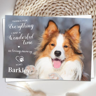 Pet Loss Thanks For Everything Dog Memorial Photo Thank You Card