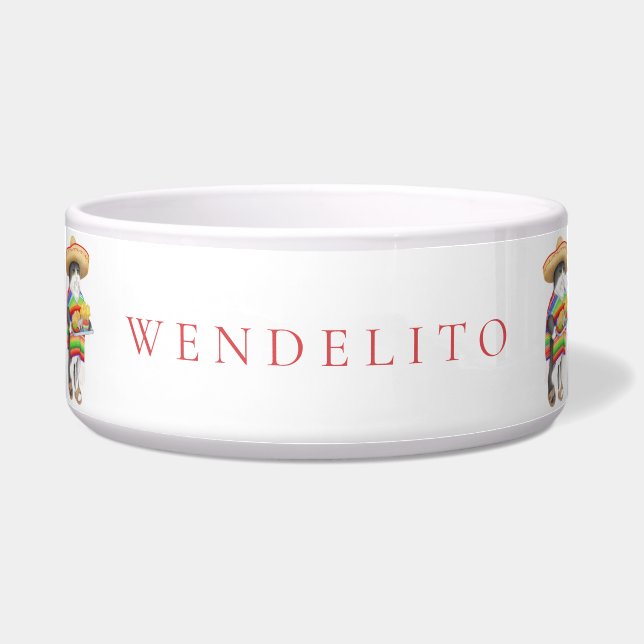 PET LOVE Ceramic Pet Bowl / Wendelito (Front)