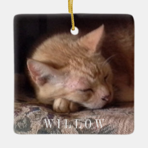 PET LOVE Ceramic Square Ornament 