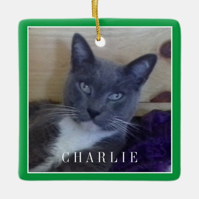 PET LOVE Ceramic Square Ornament / Green (Front)