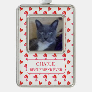 PET LOVE Framed Vert Ornament + Text / Hearts