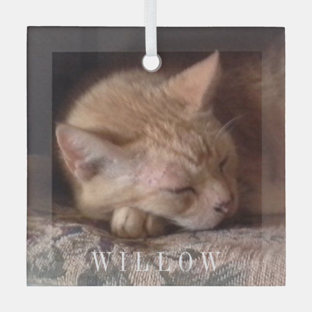 PET LOVE Glass Square Ornament  (Front)