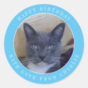 PET LOVE Large Round Birthday Stickers / Blue
