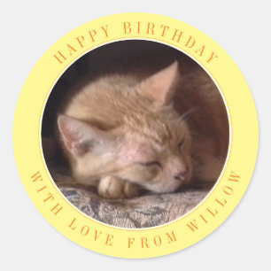 PET LOVE Large Round Birthday Stickers / Yellow