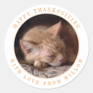 PET LOVE Large Round Thanksgiving Stickers