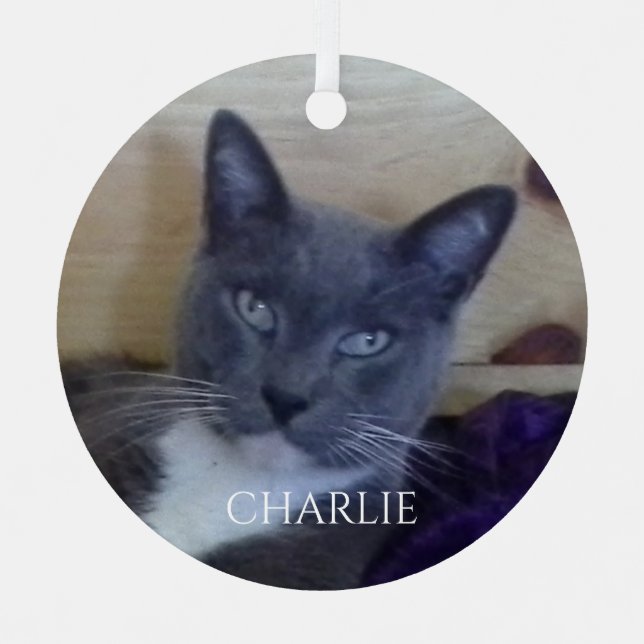 PET LOVE Metal Circle Ornament (Front)