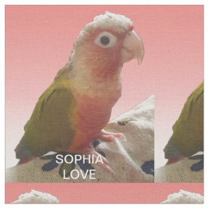 Pet Love Monogrammed 1 Photo Collage Fabric